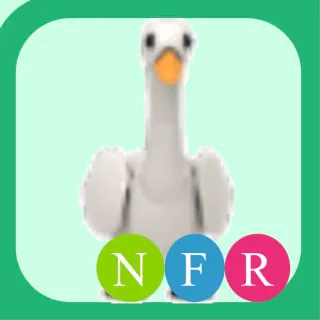 nfr swan