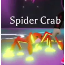 neon spider crab