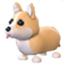 CORGI