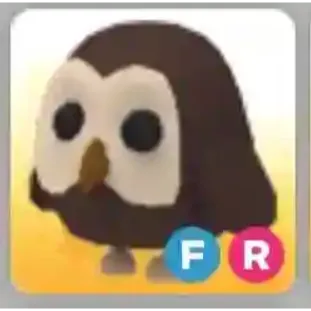 FR OWL