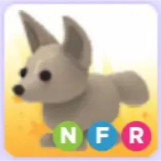NFR FENNEC FOX