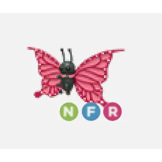 NFR BUTTERFLY 2021