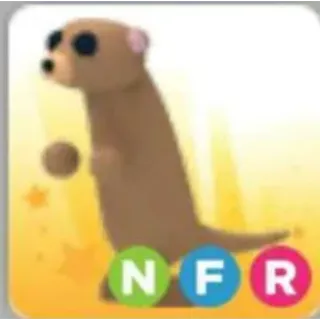 NFR MEERKAT