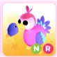 NR DODO