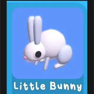 star + bunny bundle
