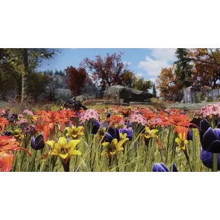 1# QUICKEST & FASTEST FLOWER FARM FOR 1 HOUR! 