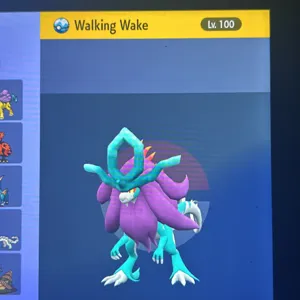 Walking  Wake