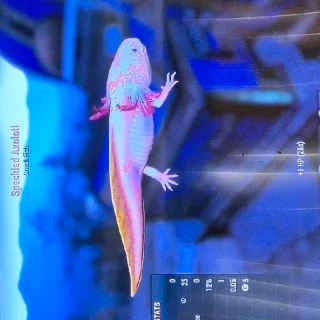 Speckled Axolotl