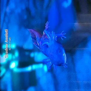 Shadow Axolotl