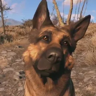 Queen_DogMeat