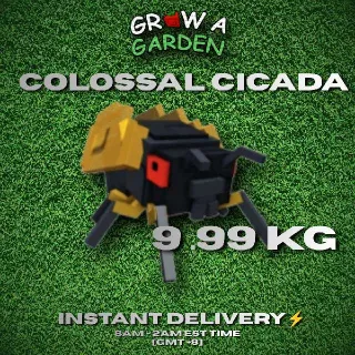 COLOSSAL CICADA