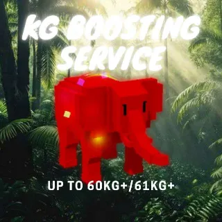 WEIGHT KG BOOSTING SERVICE 60/61KG