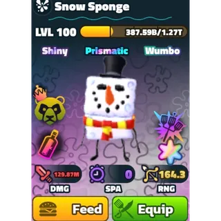 SW SUPERSTAR SNOWSPONGE