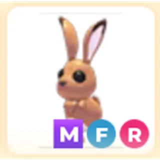 MFR HARE