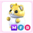 Mfr golden hamster