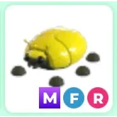 Mfr golden scarab