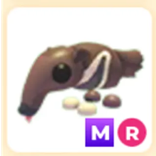 MRGA RIDE ANT EATER
