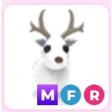 Mfr arctic reindeer