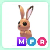 Mfr hare