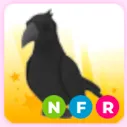 Nfr crow