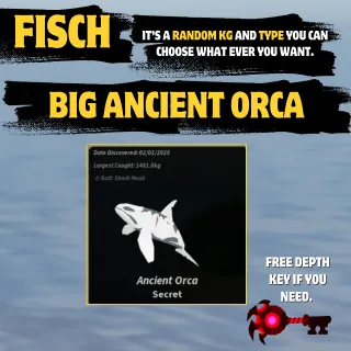 BIG ORCA - FISCH