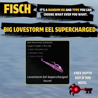 BIG LOVESTORM EEL SUPERCHARGED - FISCH