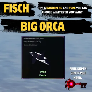 BIG ORCA - FISCH