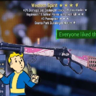 Western Spirit