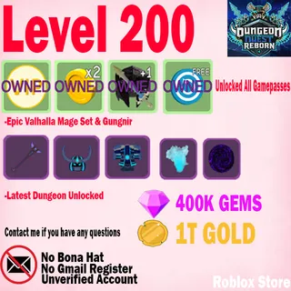 Level 200+ ( UNVERIFIED ) CLEAN ACCOUNT DUNGEON QUEST REBORN