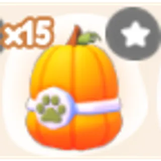 Pet City 15x Pumpkin Egg