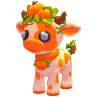 Pumpkin Cow Pet City
