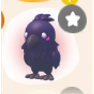 Raven Pet City