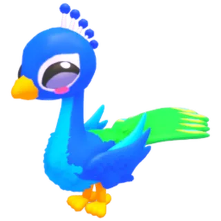 Pet City Peafowl