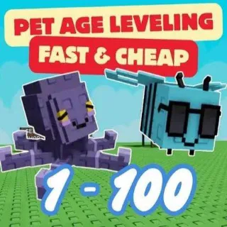 Instant level up service