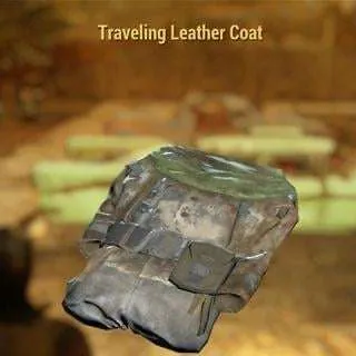 Traveling Leather Coat