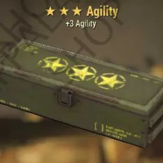 Agility Mod (+3 Agility)