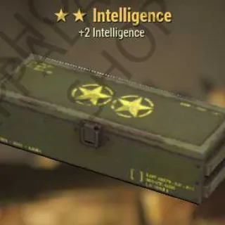 Intelligence Mod (+2 Intelligence)