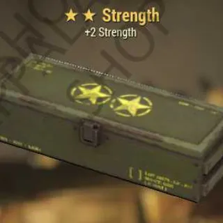 Strength Mod (+2 Strength)