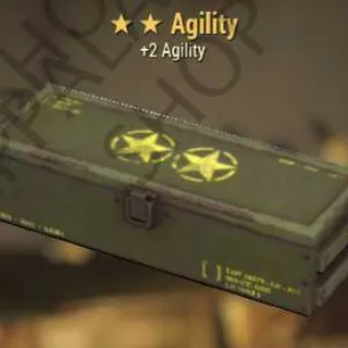 Agility Mod (+2 Agility)