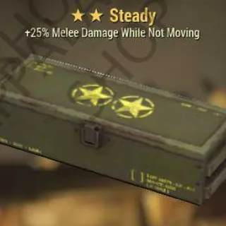 Steady Mod (+25% Melee Damage While Not Moving)