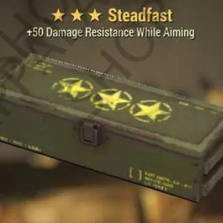 Steadfast Mod (+50 Damage Resistance While Aiming)