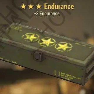 Endurance Mod (+3 Endurance)