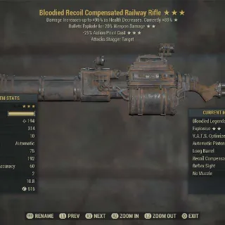 BE25 railway rifle