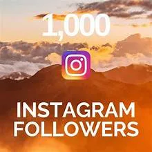 1000 followers instagram