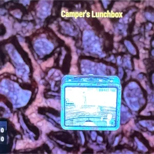 Camper’s Lunchbox Misc