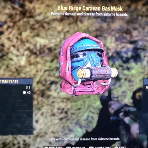 Blue Ridge Gas Mask