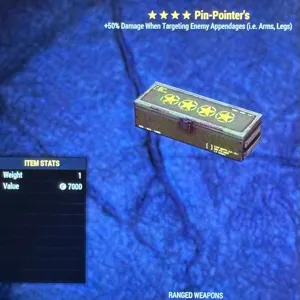 Pin Pointer’s Weapon Mod