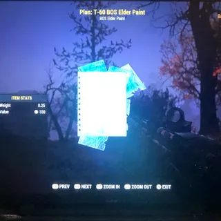 T-60 BOS Elder Paint