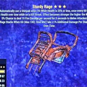 Sturdy Rage Raider Chest