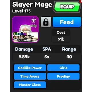 Slayer Mage | ASTD